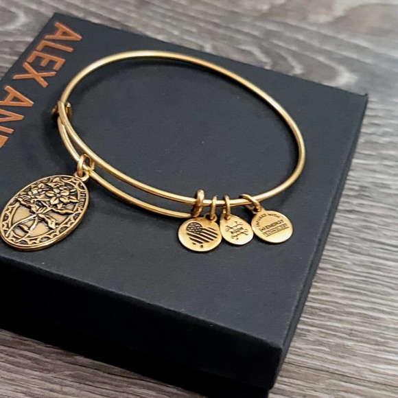 Alex and Ani Because I Love You Friend II Charm Bracelet - Picture 7 of 13